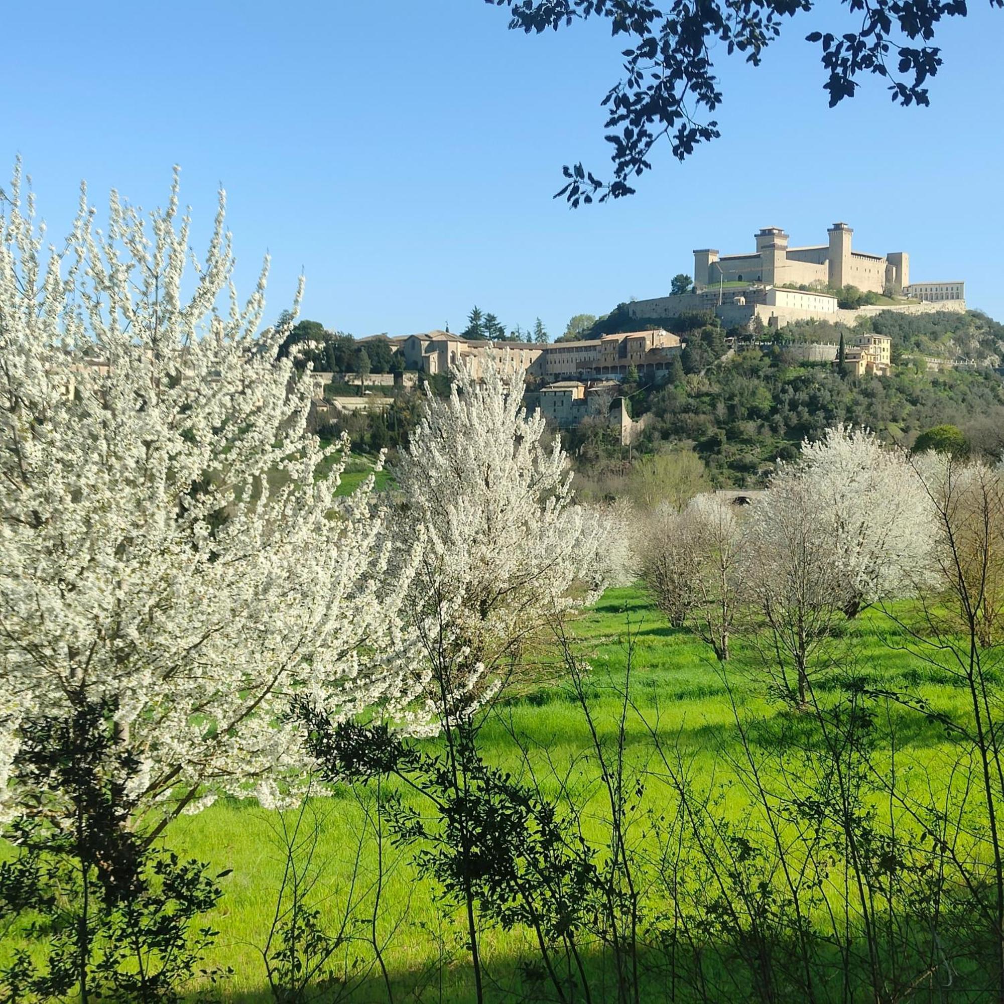 Apartment Dimora Lucrezia *