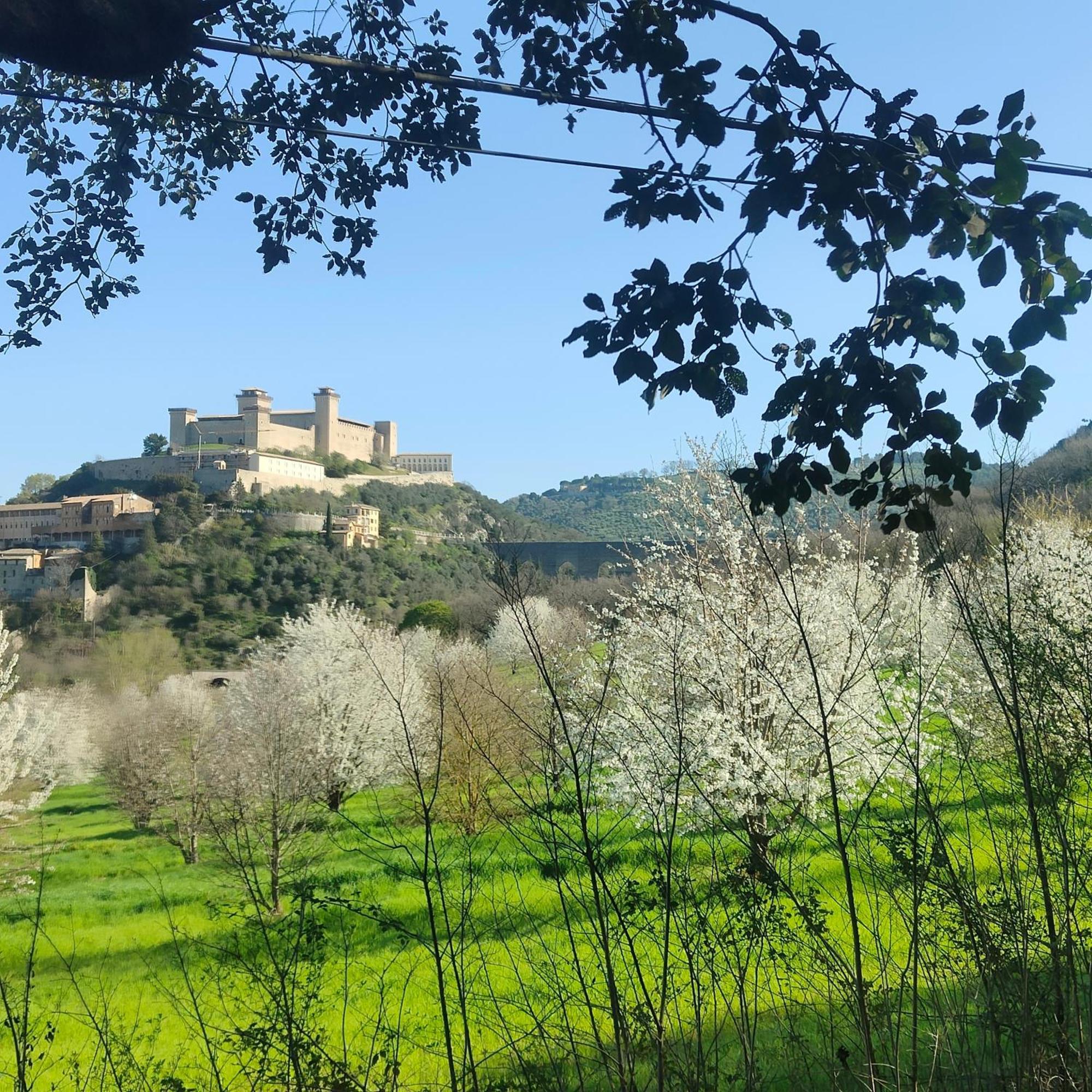 Dimora Lucrezia Apartment